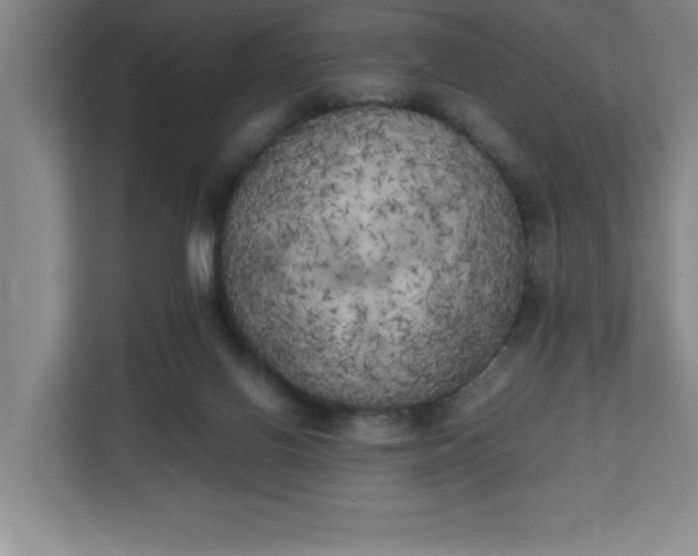 X0000111150070200907071117