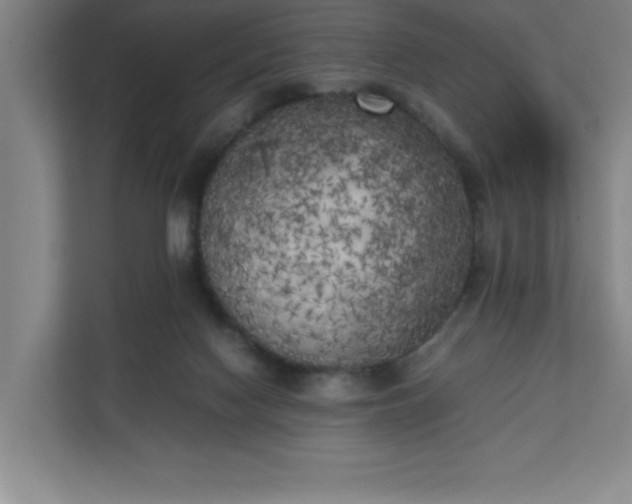 X0000111150074200907071117
