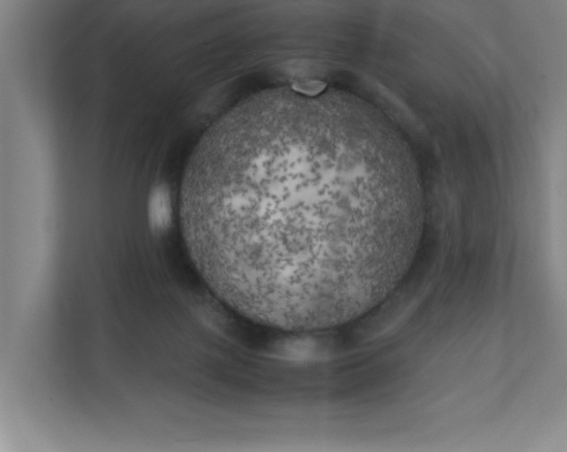 X0000111150075200907071117