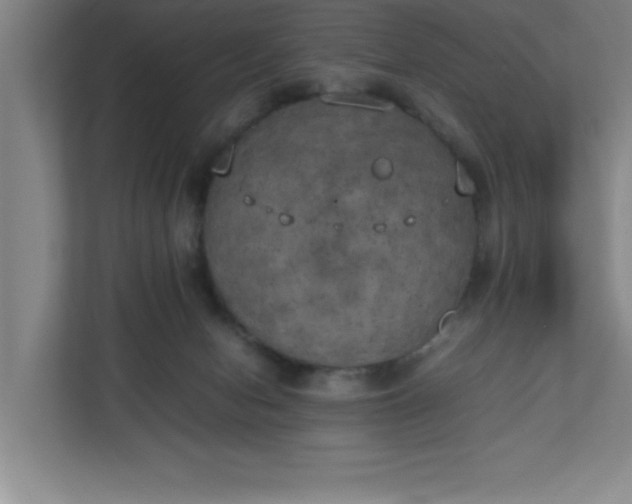 X0000111150078200907071117