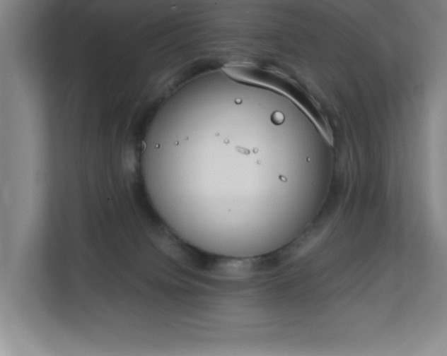 X0000111150084200907071117
