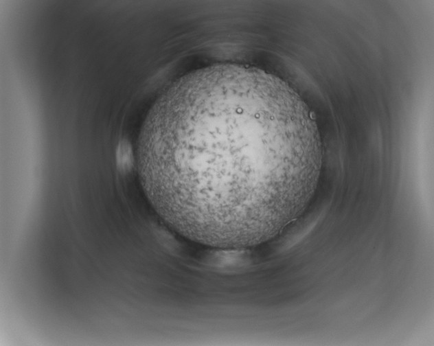 X0000111150089200907071117