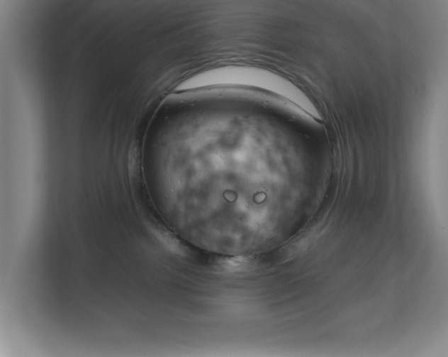 X0000111150092200907071117