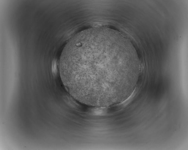 X0000111150094200907071117