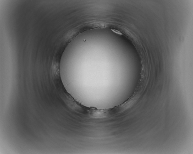 X0000111150096200907071117