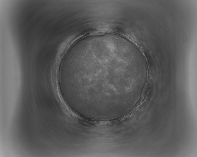 X0000111150097200907071117