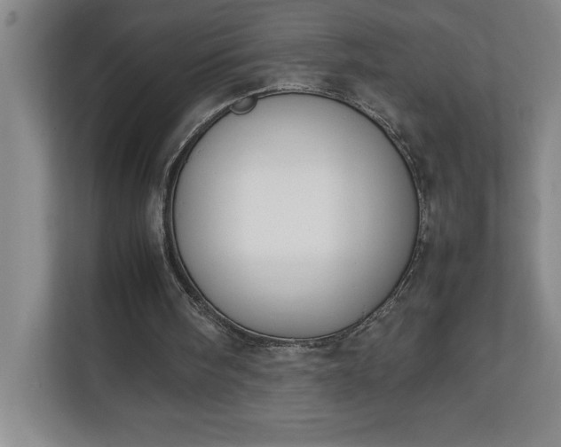 X0000111150098200907071117