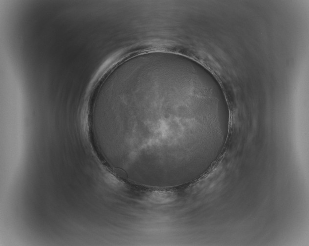 X0000111150101200907071117