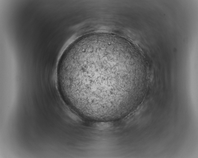 X0000111150102200907071117