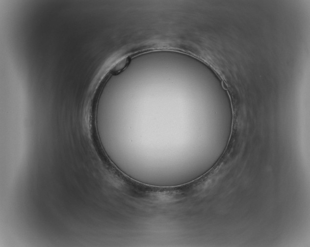 X0000111150103200907071117