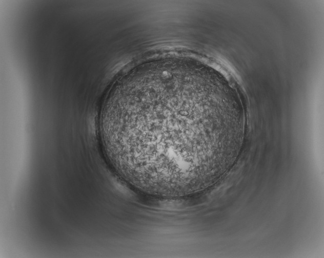 X0000111150105200907071117