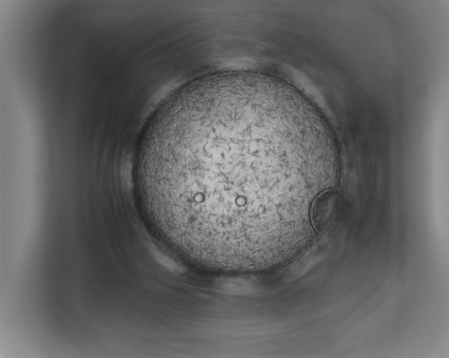 X0000111150106200907071117
