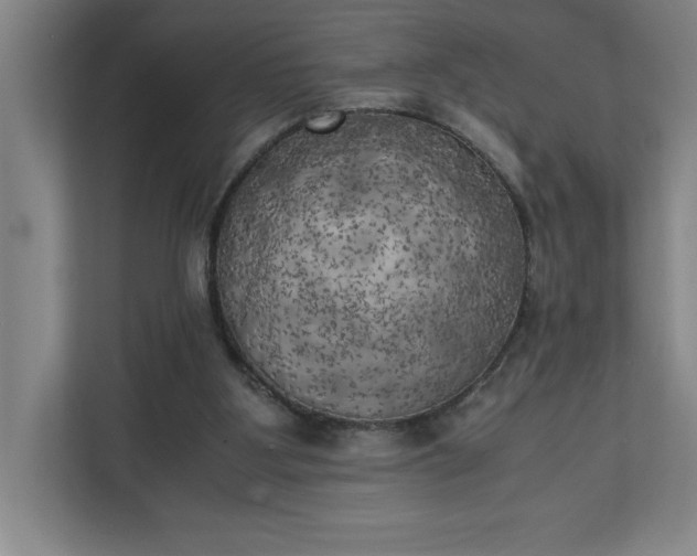 X0000111150107200907071117