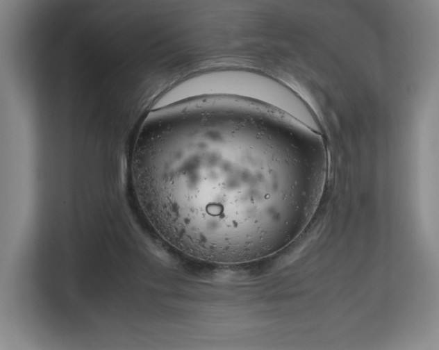 X0000111150109200907071117