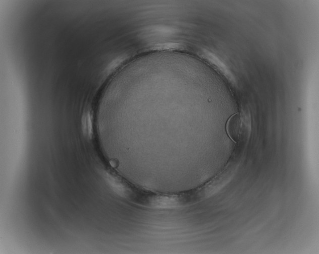 X0000111150110200907071117