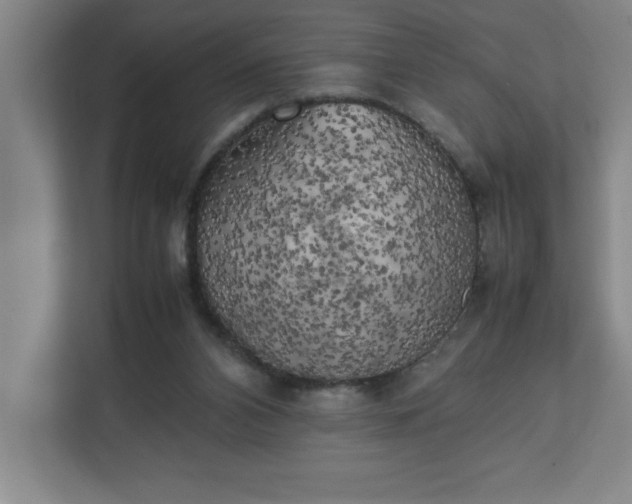 X0000111150112200907071117