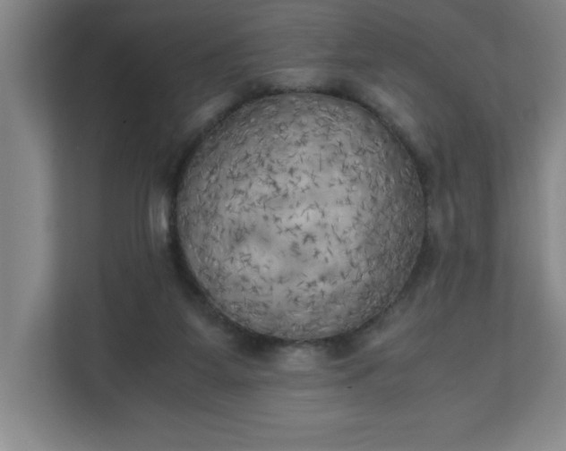 X0000111150115200907071117
