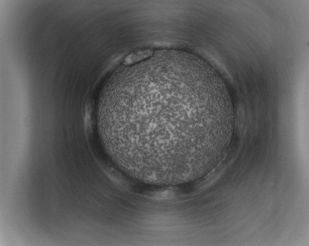 X0000111150116200907071117