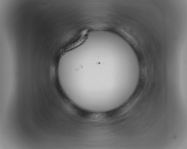 X0000111150117200907071117