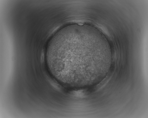 X0000111150120200907071117