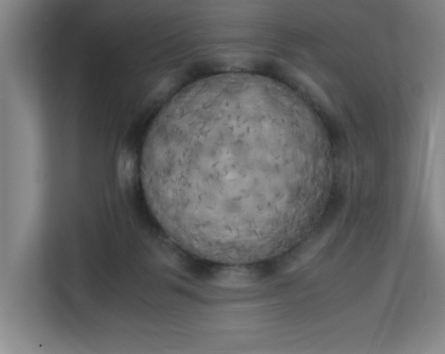 X0000111150123200907071117