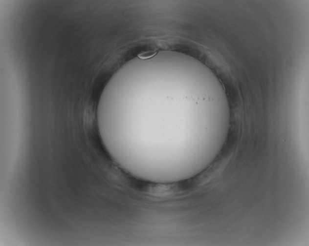 X0000111150129200907071116