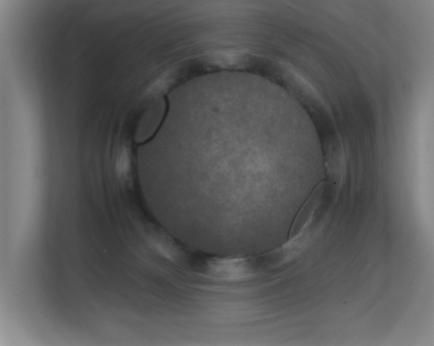 X0000111150132200907071116