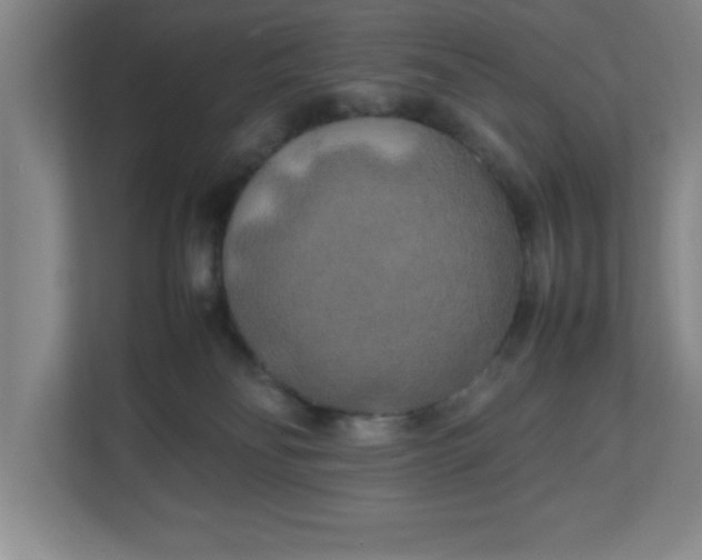 X0000111150134200907071116