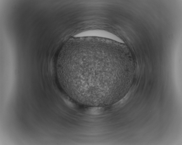 X0000111150136200907071116