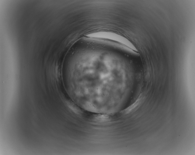 X0000111150140200907071116