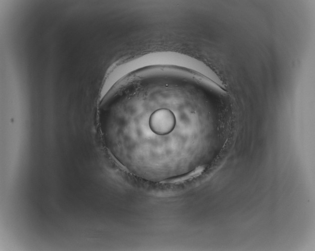 X0000111150144200907071116