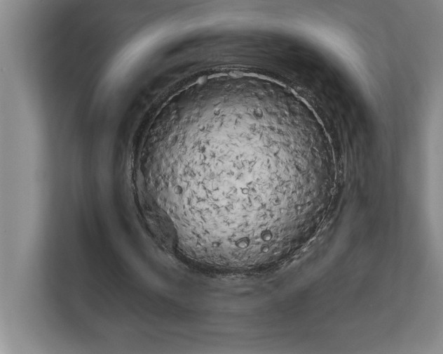 X0000111150146200907071116