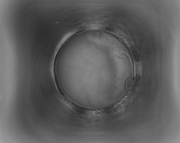 X0000111150147200907071116