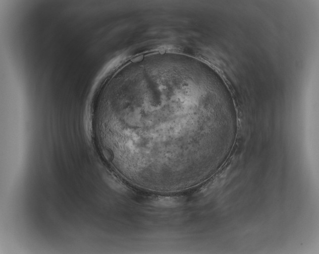 X0000111150149200907071116