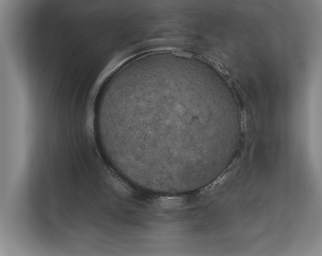 X0000111150150200907071116