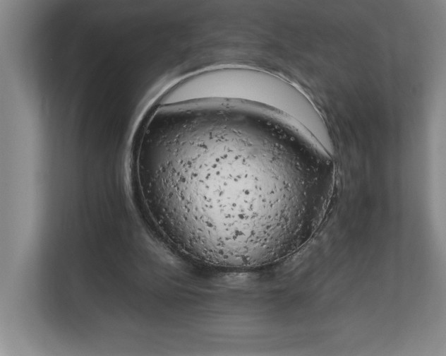 X0000111150152200907071116