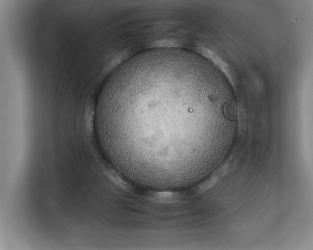 X0000111150153200907071116