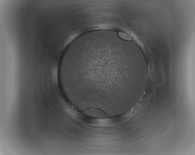 X0000111150154200907071116