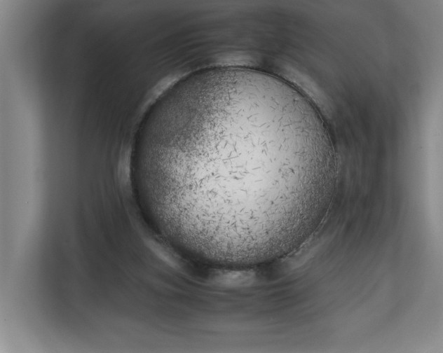 X0000111150155200907071116