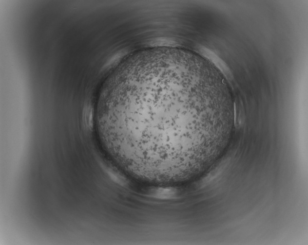 X0000111150157200907071116