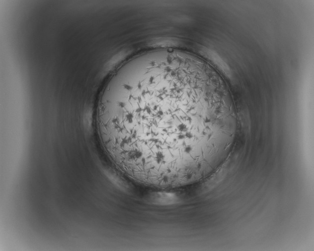 X0000111150159200907071116