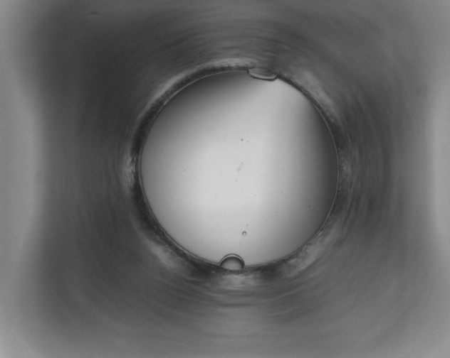 X0000111150160200907071116