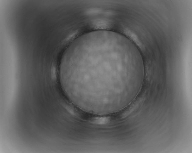 X0000111150161200907071116