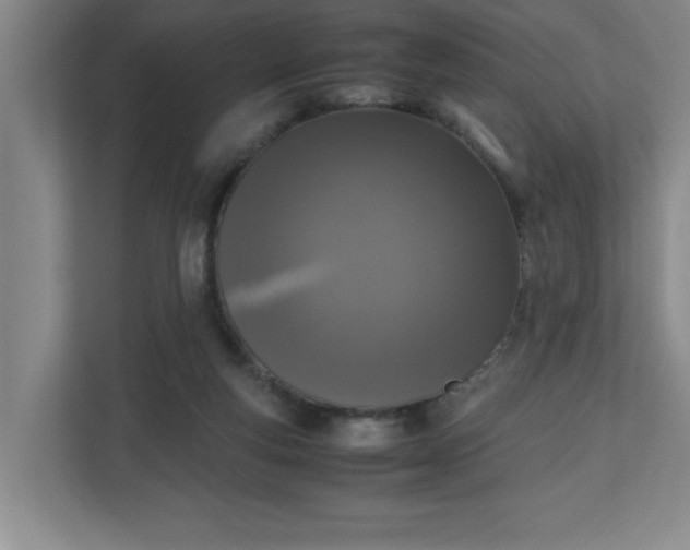 X0000111150163200907071116