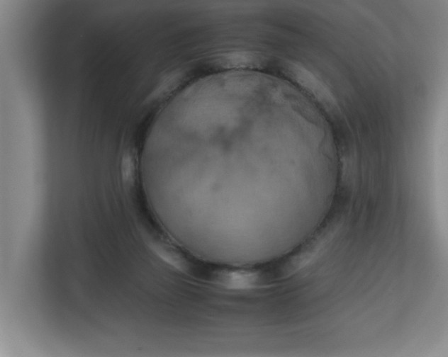 X0000111150165200907071116