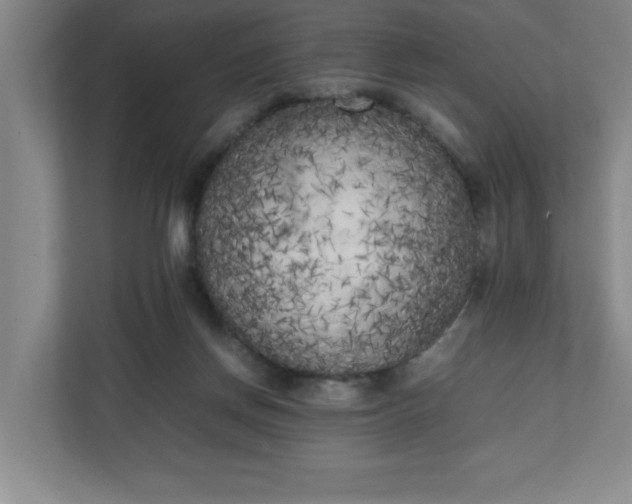 X0000111150166200907071116