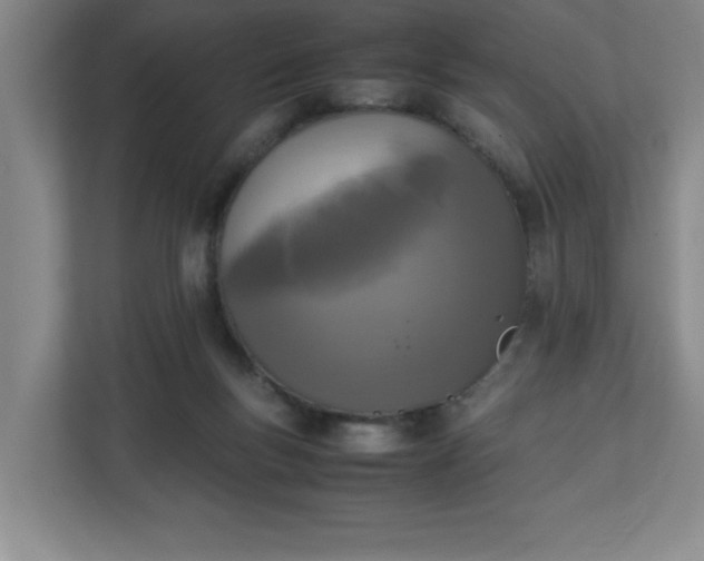 X0000111150167200907071116