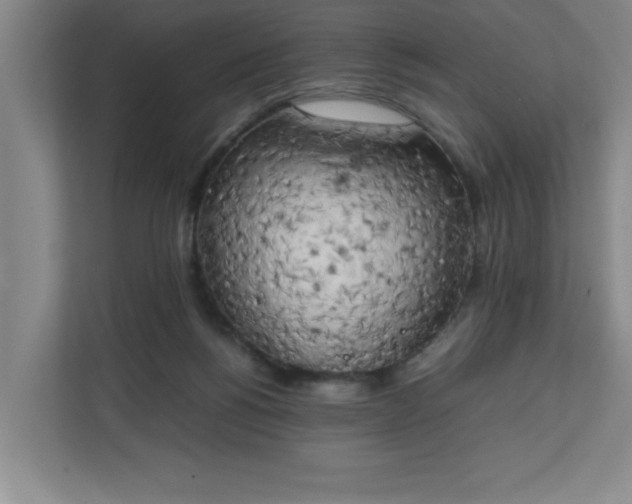 X0000111150168200907071116