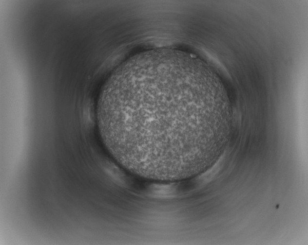 X0000111150170200907071116
