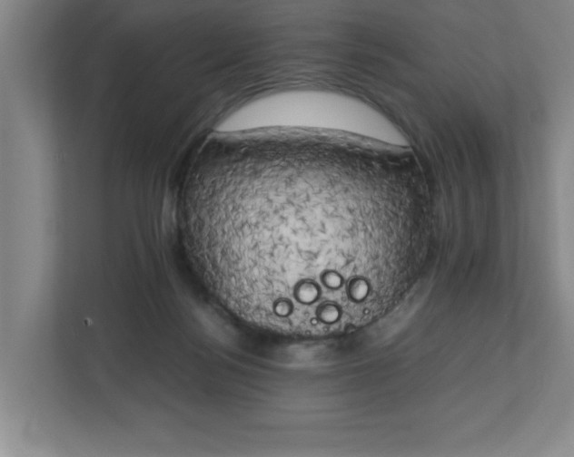 X0000111150172200907071116